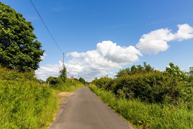 The path to Todhill Chalets runs along through an area filled with green bushes and hedges. The sky above is blue and it's a sunny day.